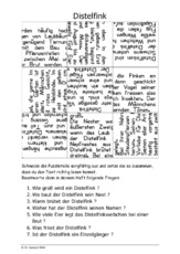 Distelfink.pdf